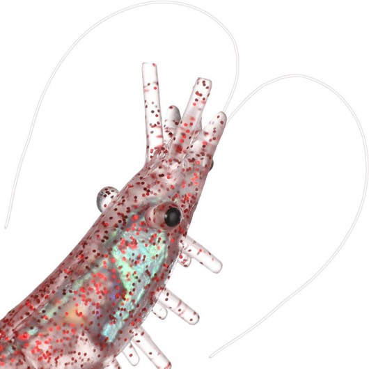 Soft Bionic Shrimp Lure Jig Head Hook Fishing Lure Soft Bionic Shrimp Lure Jig Head Hook Fishing Lure